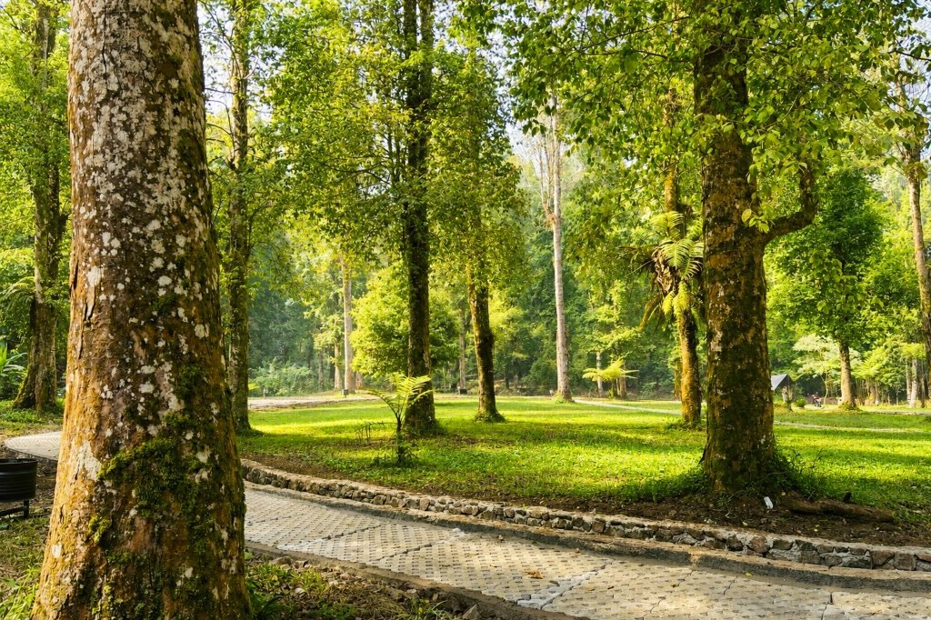 Sunrise di Savana Rengganis